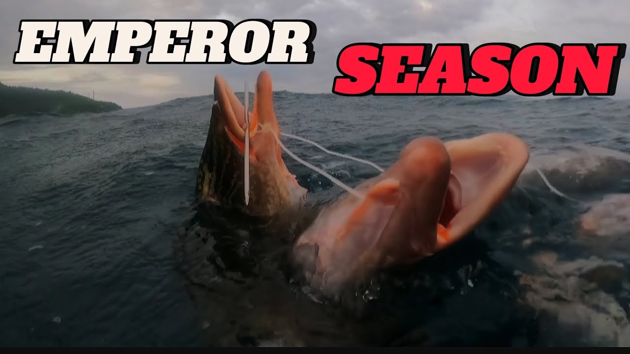 SPEARFISHING ROUGH SEA || EMPEROR SEASON || BANTON ROMBLON || MEL SPEARFISHING TV!