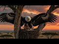 Life 1.7 Million Years Ago | Did Early Humans Really Bury Their Dead?