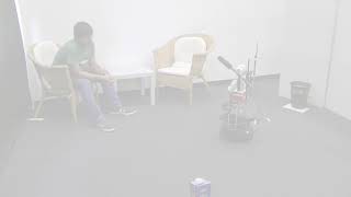 ROMAN 2016: A Robotic Home Assistant with Memory Aid Functionality