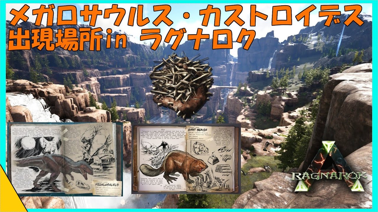 Ark Survival Evolved Ragnarok篇解説動画 ビーバーの巣 メガロサウルスの出現ポイント紹介 Youtube