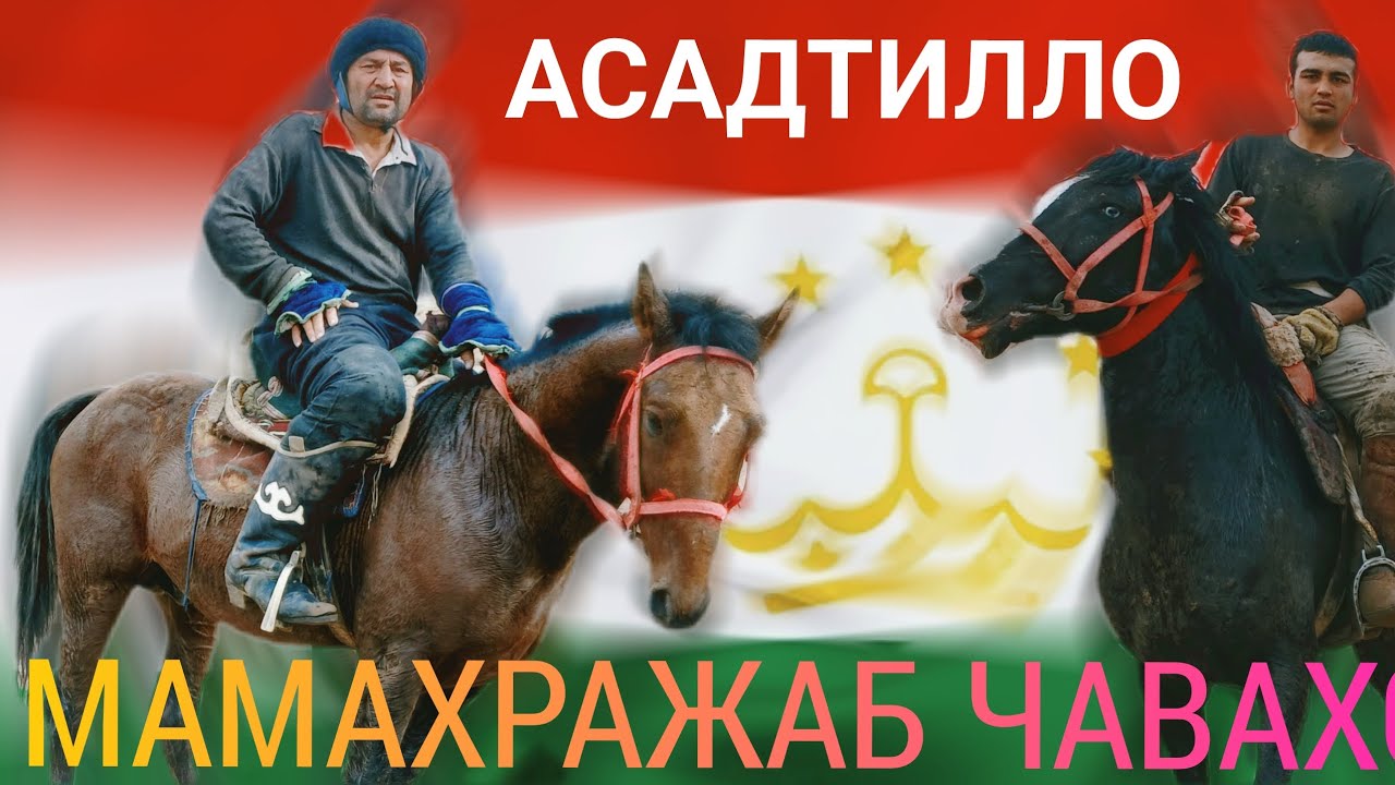 МАХМАРАЖАБ ЧАВАХОН ТИЛЛО АЙРДИ тожикистон ба пеш Кишлок Шулим да уллок мажниддин РЕГАР 