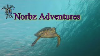 Norbz Adventures Dive With Me