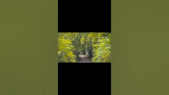 下个月就立秋了，随后便是你最爱的秋天  #countrylife #countryside #peaceful #healing #summer #autumn - 天天要闻