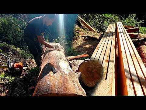 Katha Yasary Kattnuhoss Timelapse Video 