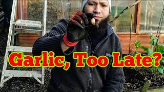 Growing garlic uk - if you're wondering what to plant in january it's
still not too late january, this video will show you how grow ...