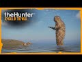 محاكي الصيد صيد البط 2 TheHunter Call Of The Wild