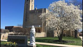 11am Holy Mass • Third Sunday in Ordinary Time