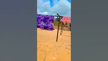 Hacaalu Hundeessa New 2023 Sirba Dhokate Ture Baheera Kinoo Comedy Funny 