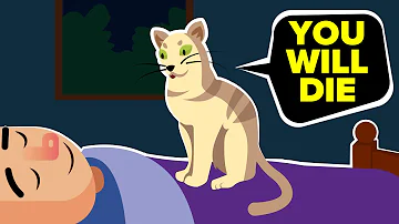 Can cats sense death of a person?