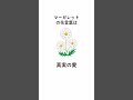 知っておこう！　有名な花言葉　プレゼントに！！