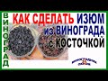 🍇 КАК СДЕЛАТЬ ВКУСНЫЙ ИЗЮМ ИЗ ВИНОГРАДА С КОСТОЧКОЙ. КАКОЙ ВИНОГРАД ПОДХОДИТ ЛУЧШЕ ВСЕГО.