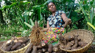 Here are some simple snacks made from baked taro root for evening tea. .village kitchen recipe