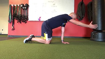 Quadruped One Arm Reach with Forward Chin