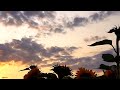 #BEST TEACHER | #Natural #powerful mind | #Natura | #clam music | relax mind