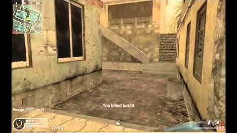 Playing with PEZ bots (CoD4)