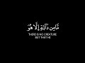 إني توكلت على الله ربي وربكم شاشة سوداء كرومات قرآن كريم جاهزة للتصميم بصوت مشاري فالح 