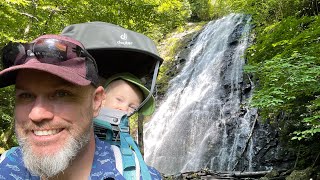 Crabtree Falls Hike ( A plant lovers paradise)