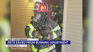Pets saved from burning apartment in Spring Hill