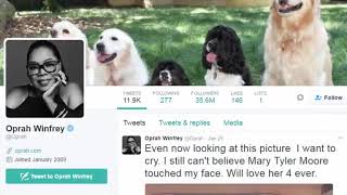 Twitter Management Tools