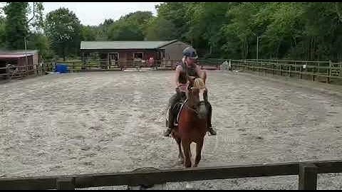 Intro 2 Dressage Test