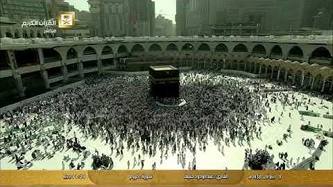 سورة الروم بصوت الشيخ عبدالودود مقبول حنيف