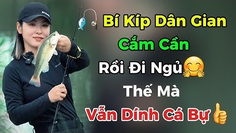 Cắm cần rồi bỏ đi vẫn dính cá to. Lý do cá lớn ăn mạnh khi không có người đứng cạnh bờ nước