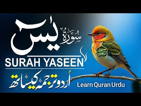 Surah Yasin - Heart Trembling Recitation by Qari Mansoor Ghaznavi | Urdu & Hindi Translation