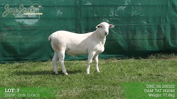 Lot 7   210297 prproj