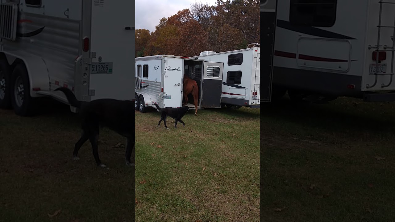 Reno trailer load 1 YouTube