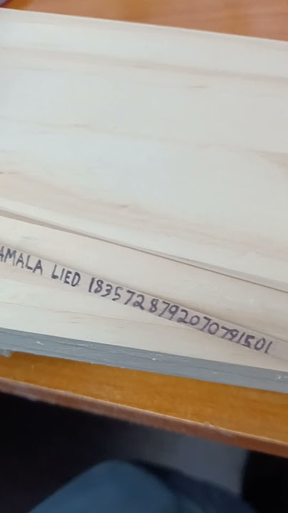 Kamala Lied. 1835728792070791501