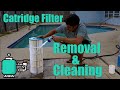 How To Clean a Pool Cartridge Filter - Removal and Cleaning