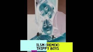 Trippy Boys - ILSM (Official Audio) Profile