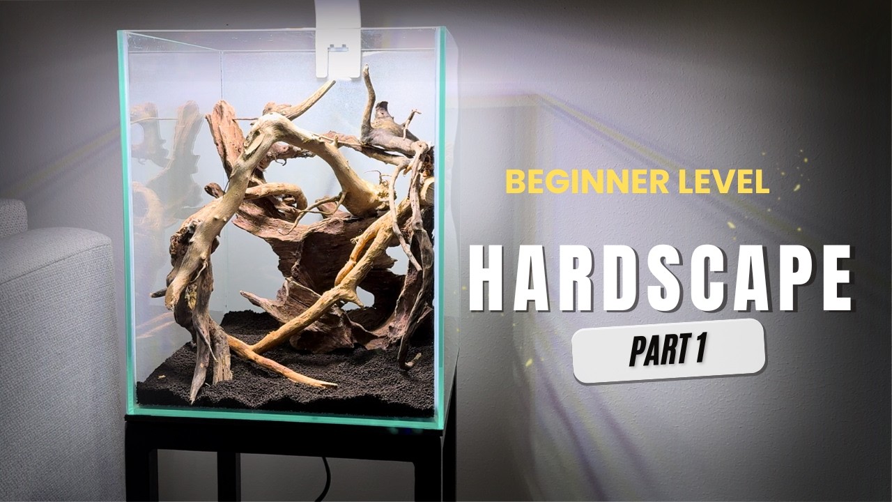 Beginner Aquascape Hardscape Tutorial | Nano Tank, Part 1
