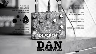 Dan Explains It All - Blackcap