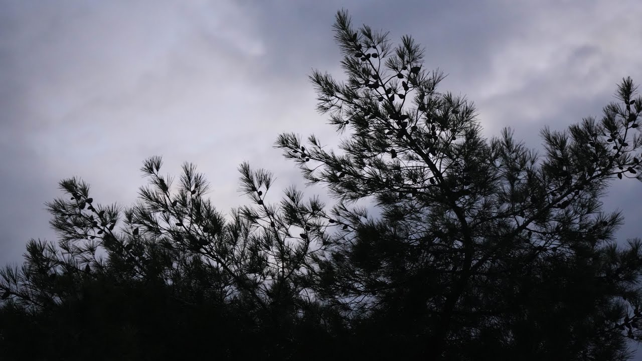 THE MODULES - Kieran Bonnici