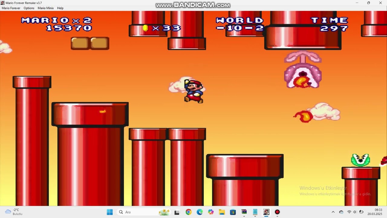 mario forever minus world 10(kalede pes ettim)