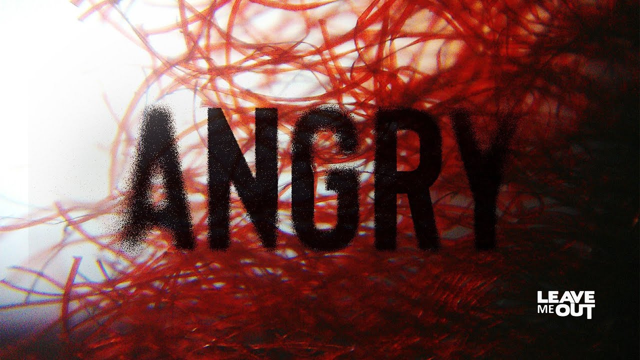 Leave Me Out - Angry (Official Lyric Video)