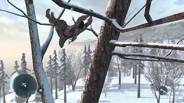 Climbing Trees - Assassin