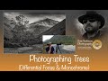Photographing Trees (Monochrome &amp; Differential Focus)