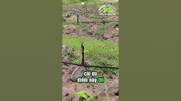 Chi phí đầu tư hệ thống tưới GAT 2016 với hệ thống lọc tự động? | Green Agritech