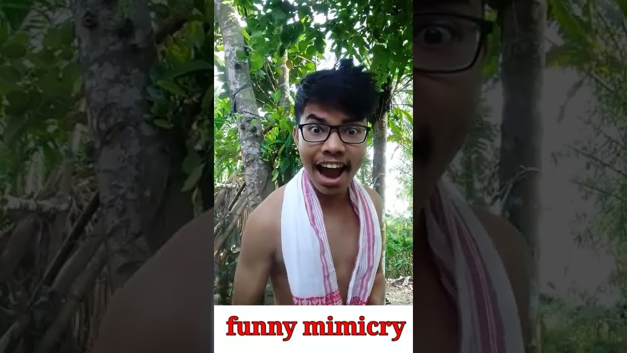 Assamese funny video mimicry
