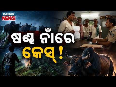ଷଣ୍ଢ ନାଁରେ ଥାନାରେ ମାମଲା…Special Report On Complaint Against Bulls | Crops Damaged by Cattle