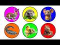Pets: Duckling, Rabbit, Mouse, Hedgehog, Catfish, Bearded Dragon Lizard