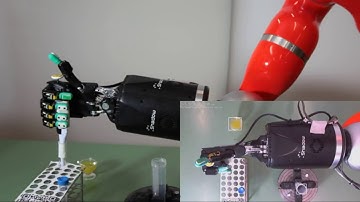Shadow Robot Company - Dexterous Hand in action