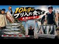 【6月12日10kgブリ入れ食い】ナブラ爆発!投げればヒット!夢のキャスティングゲーム!