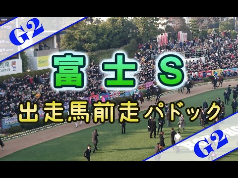 【競馬パドック】富士S（2020年）前走パドック