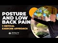 Posture and Low Back Pain (1 Critical Exercise Approach)