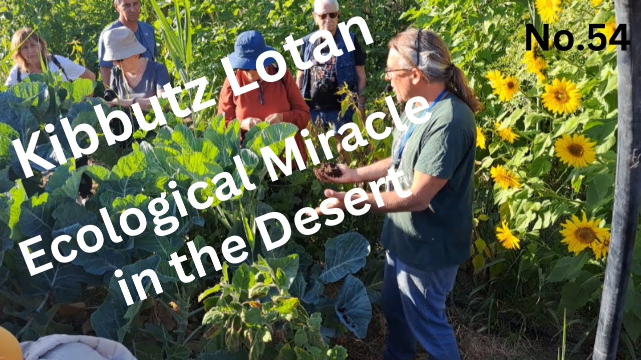 No.54   Kibbutz Lotan - Ecological Miracle in the Desert   #Desert #Ecology #Community