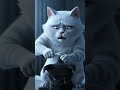 Hard Truths: Black Cat Gets Tough Love#sad #emotional #trending