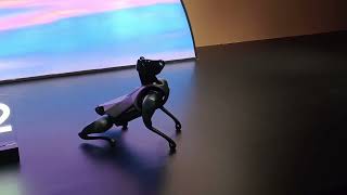 Xiaomi CyberDog 2 quadrupedal robot, What are the features of Xiaomi dog?